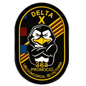Sección DELTA X del ISPC